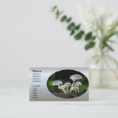 Weiße Austernpilze Visitenkarte (Stehend Vorderseite)