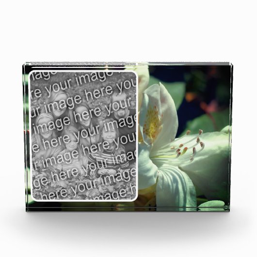 Weiße Azalea-Blume Fotoblock (Vorderseite)