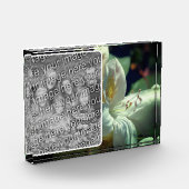 Weiße Azalea-Blume Fotoblock (Links)