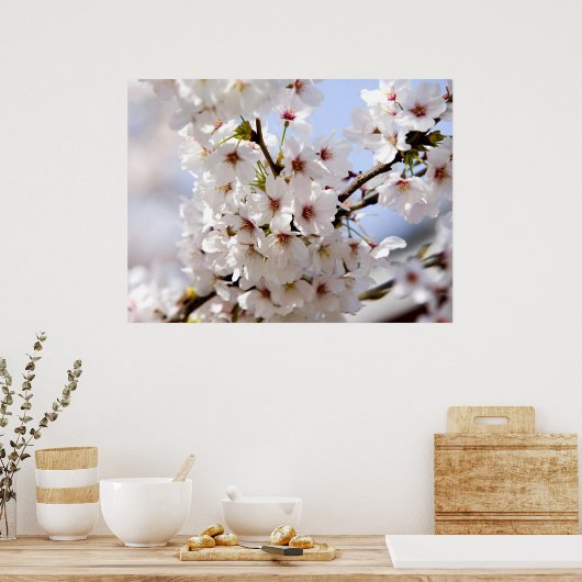 Weiße Baumblüte im Frühling Poster (Küche)