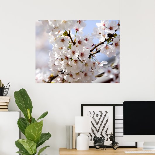 Weiße Baumblüte im Frühling Poster (Heimbüro)