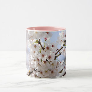 Weiße Baumblüte im Frühling Tasse