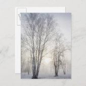 Weiße Bäume an einem Schneetag Postkarte (Vorne/Hinten)