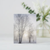 Weiße Bäume an einem Schneetag Postkarte (Stehend Vorderseite)