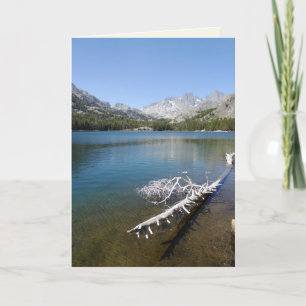 Weiße Bäume im Schattensee, Leere im Inneren Karte