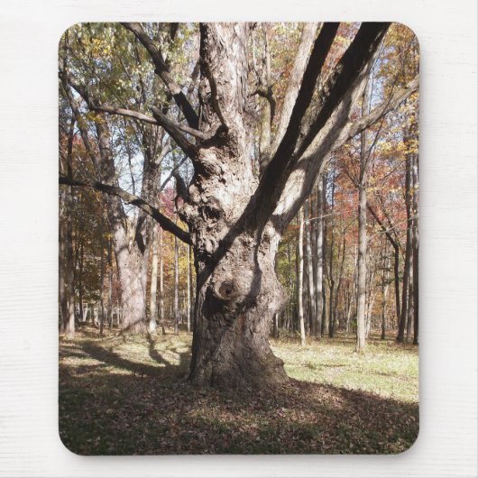 Weiße Bäume Mousepad (Vorne)