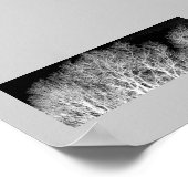 Weiße Bäume Poster (Ecke)