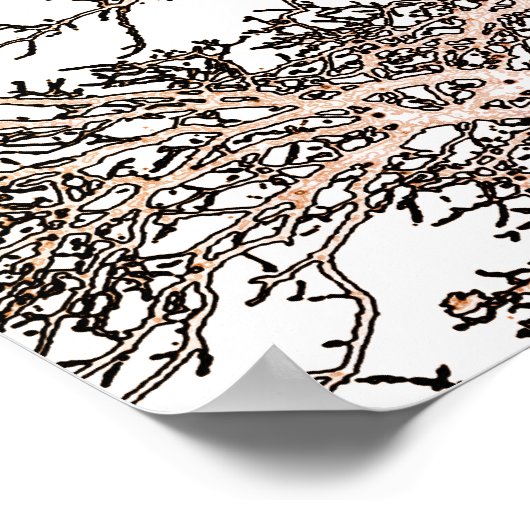 Weiße Bäume Poster (Ecke)