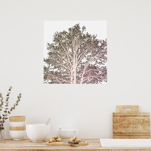 Weiße Bäume Poster (Küche)