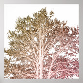 Weiße Bäume Poster (Vorne)