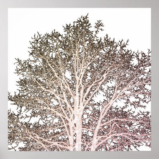 Weiße Bäume Poster (Vorne)