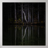 Weiße Bäume reflektieren den See Poster (Vorne)