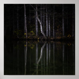 Weiße Bäume reflektieren den See Poster