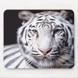 Weiße bengalische Tiger-Fotografie Mousepad