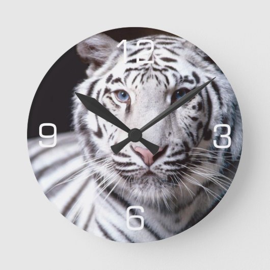 Weiße bengalische Tiger-Fotografie Runde Wanduhr (Vorderseite)