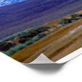 Weiße Berge, Kalifornien, Etats-Unis Poster (Ecke)