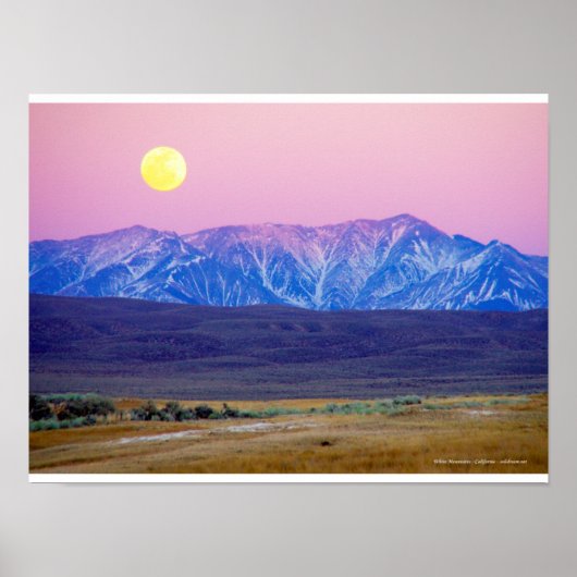 Weiße Berge, Kalifornien, Etats-Unis Poster (Vorne)