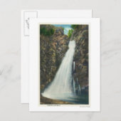 Weiße Berge Nat'l Forest Postkarte (Vorne/Hinten)