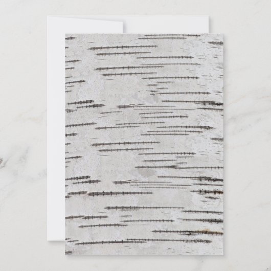 Weiße Birke Baum rustikale Land Hochzeit Empfang Einladung (Rückseite)