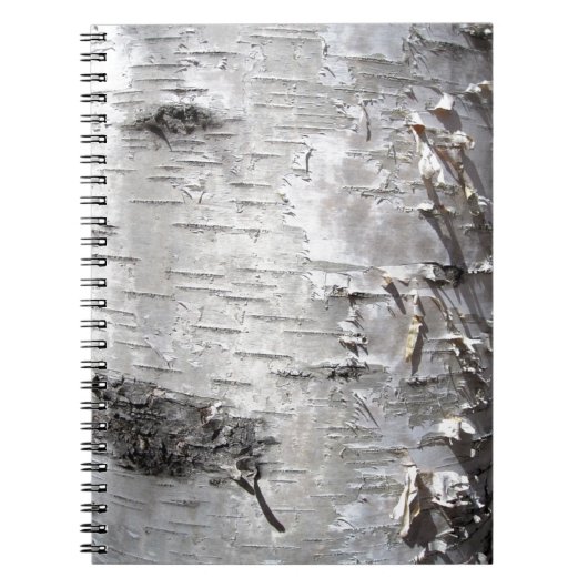 weiße Birke der böhmischen rustikalen Baumrinde Notizblock (Vorderseite)