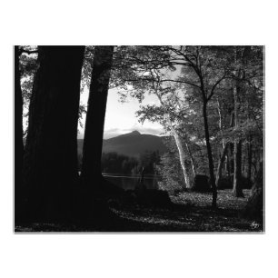 Weiße Birke in einem Chocorua Sunset Open Edit. Dr Fotodruck