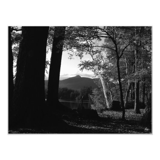 Weiße Birke in einem Chocorua Sunset Open Edit. Dr Fotodruck (Vorne)