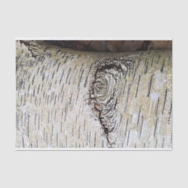 Weiße Birke Seidenpapier