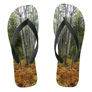 Weiße Birken und Herbstfarne in den Rocky Mountain Badesandalen