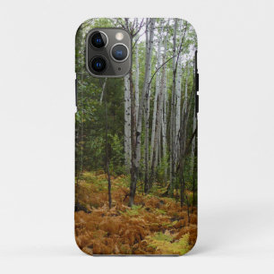 Weiße Birken und Herbstfarne in den Rocky Mountain Case-Mate iPhone Hülle