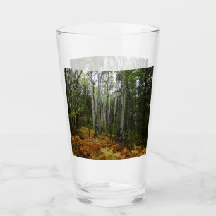 Weiße Birken und Herbstfarne in den Rocky Mountain Glas