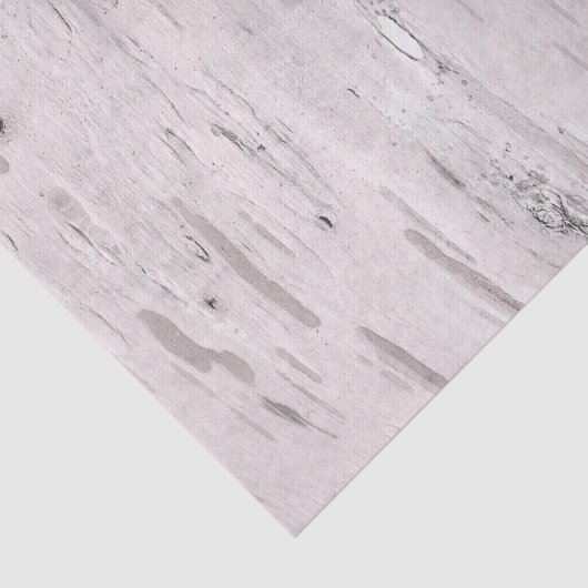 Weiße Birkenbaum Holz Rustikaler Stallbaum Chic Seidenpapier (Ausschnitt)