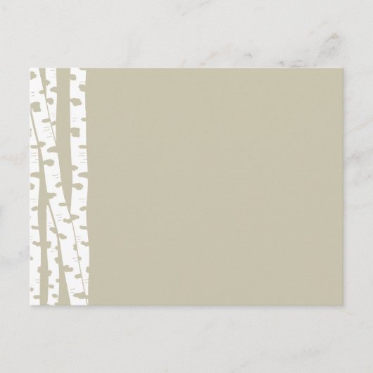 Weiße Birkenbäume Postkarte (Vorderseite)
