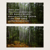 Weiße Birkenbäume und Herbst-Fernen am Rocky Mount (Vorne & Hinten)