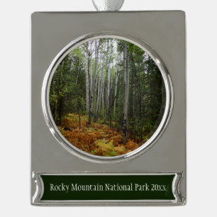 Weiße Birkenbäume und Herbst-Fernen am Rocky Mount Banner-Ornament Silber