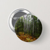 Weiße Birkenbäume und Herbst-Fernen am Rocky Mount Button (Vorne & Hinten)