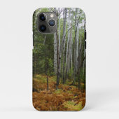 Weiße Birkenbäume und Herbst-Fernen am Rocky Mount Case-Mate iPhone Hülle (Rückseite)