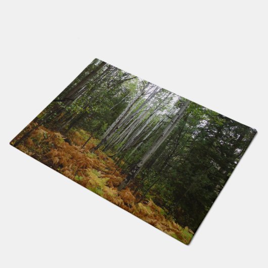 Weiße Birkenbäume und Herbst-Fernen am Rocky Mount Fußmatte (Schrägansicht)