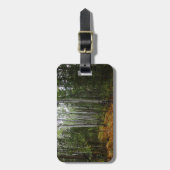 Weiße Birkenbäume und Herbst-Fernen am Rocky Mount Gepäckanhänger (Vorderseite vertikal)