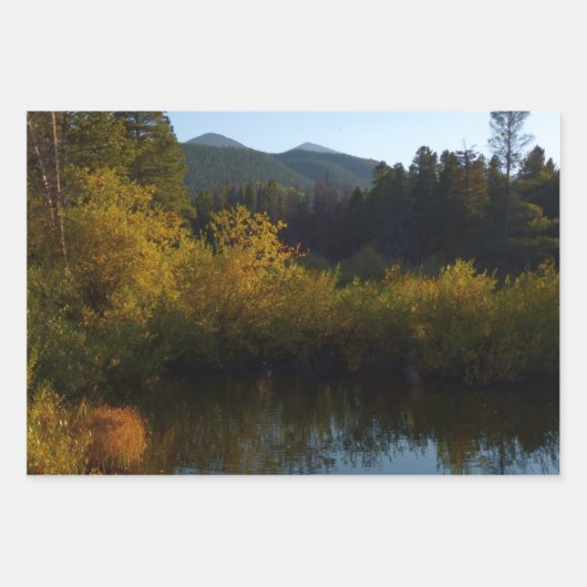 Weiße Birkenbäume und Herbst-Fernen am Rocky Mount Geschenkpapier Set (Vorderseite 2)