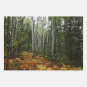 Weiße Birkenbäume und Herbst-Fernen am Rocky Mount Geschenkpapier Set (Vorderseite)