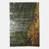 Weiße Birkenbäume und Herbst-Fernen am Rocky Mount Geschirrtuch (Vertikal)