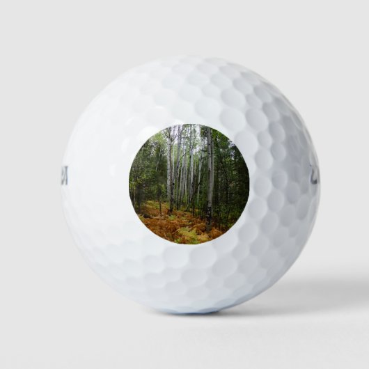 Weiße Birkenbäume und Herbst-Fernen am Rocky Mount Golfball (Vorderseite)
