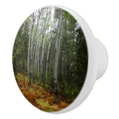 Weiße Birkenbäume und Herbst-Fernen am Rocky Mount Keramikknauf (Rechts)