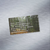 Weiße Birkenbäume und Herbst-Fernen am Rocky Mount Magnetische Visitenkarte (Beispiel)