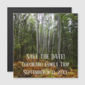 Weiße Birkenbäume und Herbst-Fernen am Rocky Mount Magnetkarte (Vorne/Hinten)