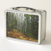 Weiße Birkenbäume und Herbst-Fernen am Rocky Mount Metall Brotdose (Rückseite)