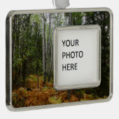 Weiße Birkenbäume und Herbst-Fernen am Rocky Mount Rahmen-Ornament Silber (Rechts)