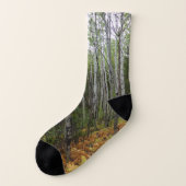 Weiße Birkenbäume und Herbst-Fernen am Rocky Mount Socken (Links - Außen)