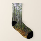 Weiße Birkenbäume und Herbst-Fernen am Rocky Mount Socken (Rechts - Außen)