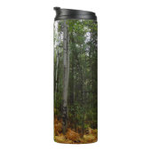 Weiße Birkenbäume und Herbst-Fernen am Rocky Mount Thermosbecher (Nach rechts gedreht)